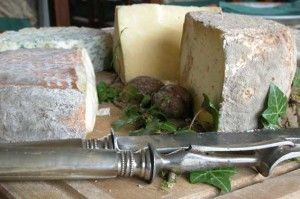 fromages fermiers d'Auvergne, saint-Nectaire, Cantal, Artisons, Fourme d'Ambert