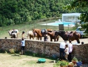 Chevaux et cavaliers en Chambres d'hôtes à Blesle