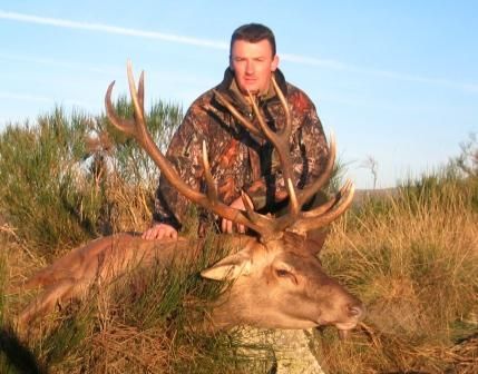 Chasse aux cervidés en Auvergne - Cantal