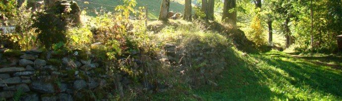 La nature protégée et authentique en Auvergne