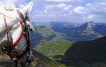 Randonnée équestre sur les volcans d'Auvergne