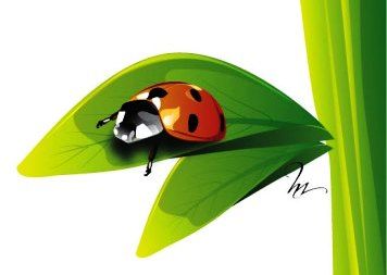 le site d'Hélène Mart, illustratrice de talent