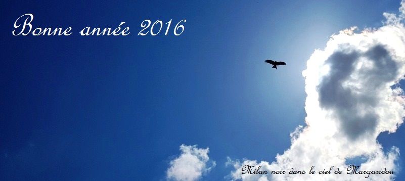 Bonne Année 2016 en Auvergne
