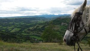 Rando-equestre-chambre d hotes auvergne haute loire